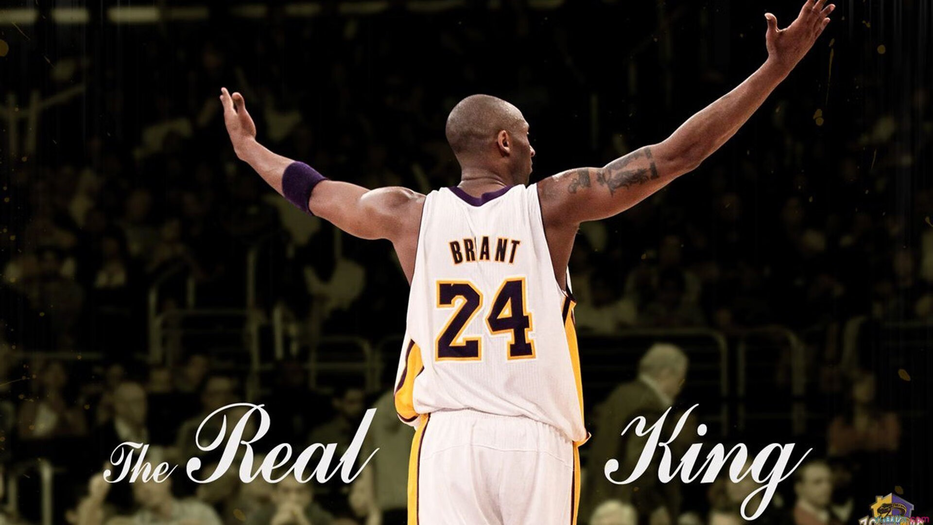 意甲精彩纷呈，球迷反应火热，意甲介绍